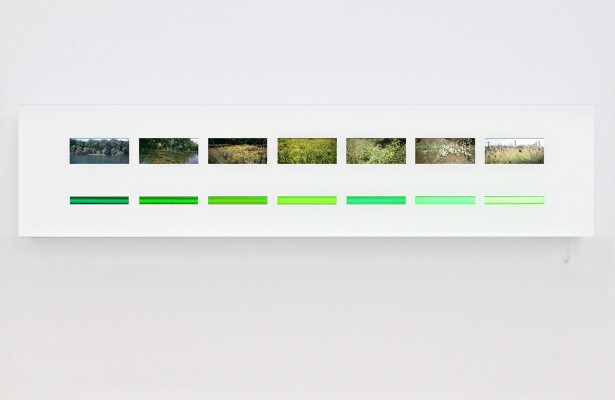 lightboxes - 7 hues, scales of green, 2005