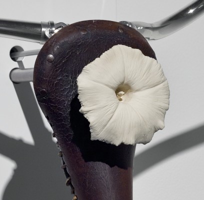 trophy, after picasso, 2010