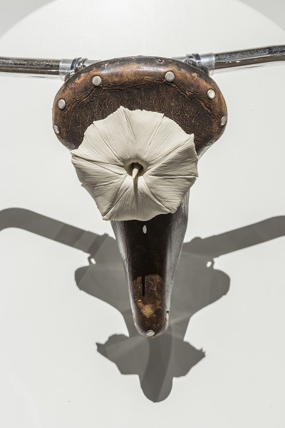 trophy after picasso ii