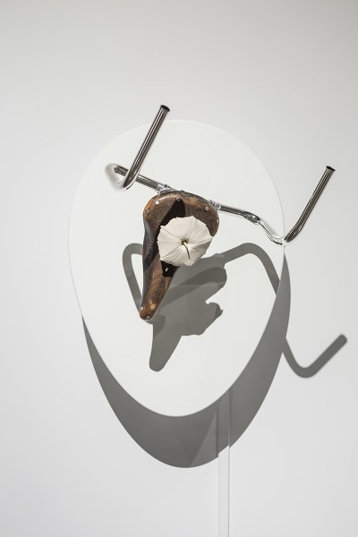 trophy after picasso ii