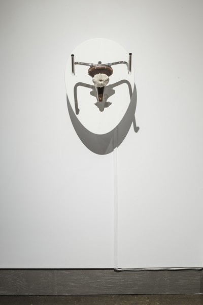 trophy after picasso ii