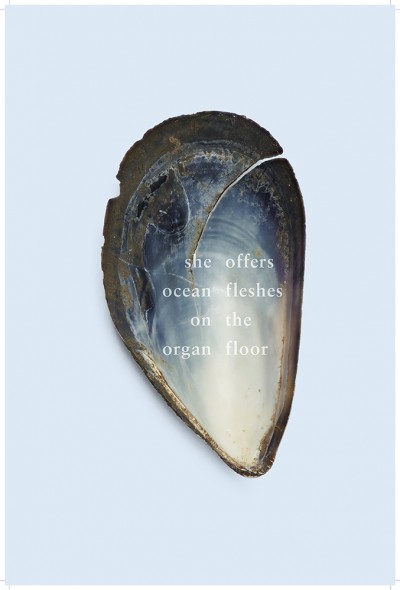 10  left organ fleshes