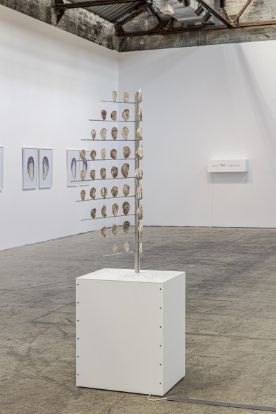 shell shield closing