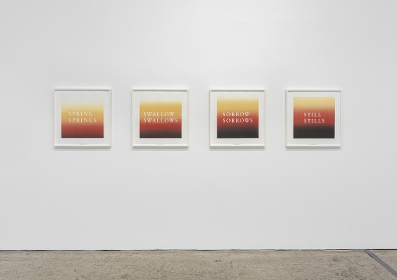 for rachel installation view