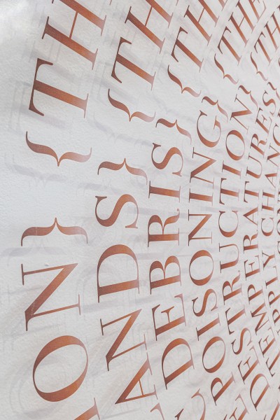 the true bird detail