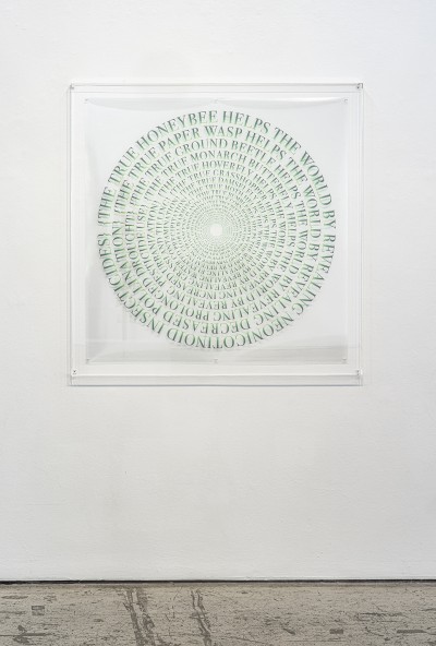 the true insect installation view