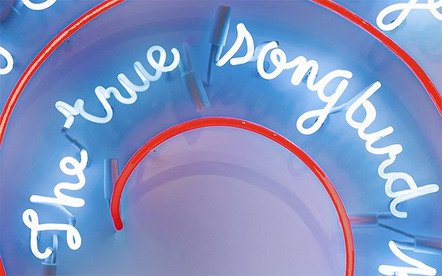 the true songbird detail