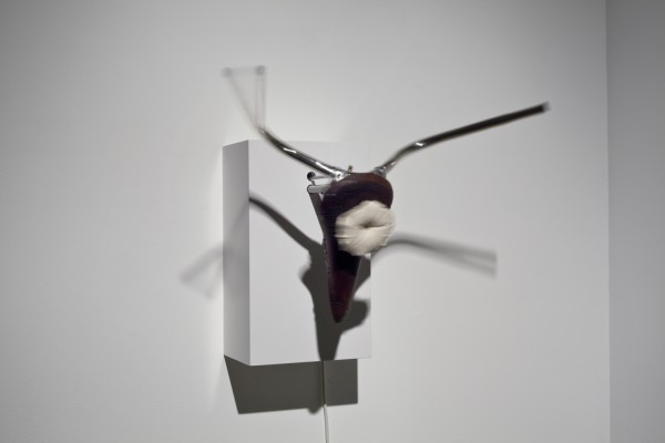 trophy, after picasso, 2010