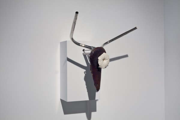 trophy, after picasso, 2010